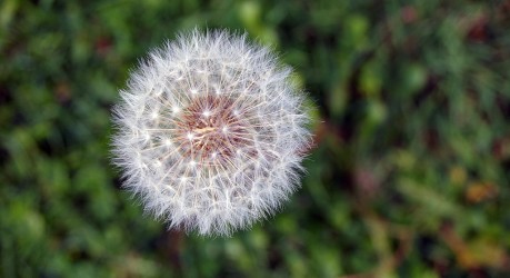 Vestibulum Bibendum Nibh Quis Sollicitudin