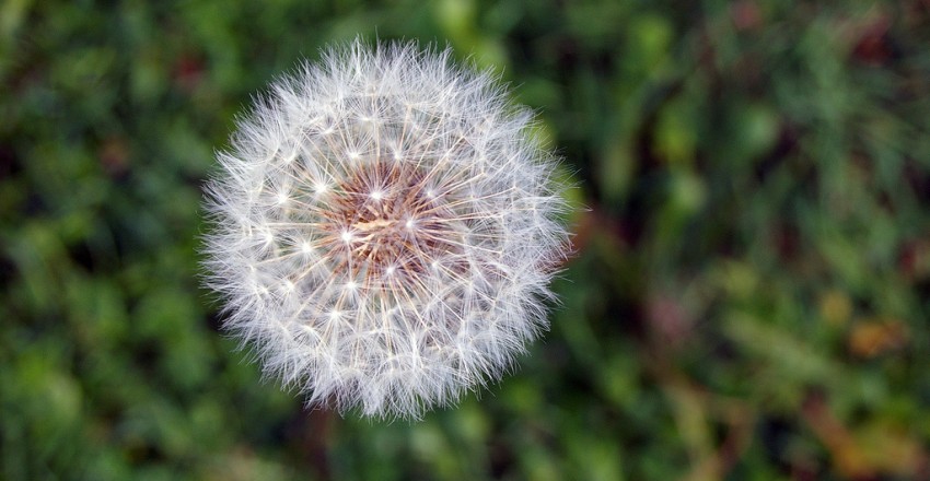 Vestibulum Bibendum Nibh Quis Sollicitudin