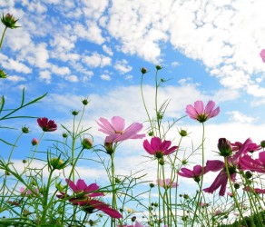 Blog Page With Slideshow