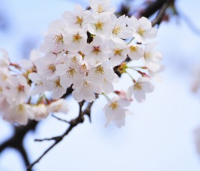 Hello world!